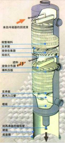 宝典彩库安卓版下载